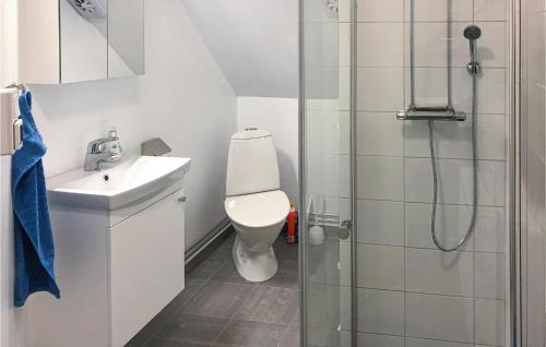 a bathroom with a shower and a toilet and a sink at Cozy Home In Mantorp With Wifi in Mantorp