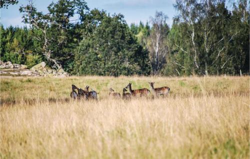 a group of deer in a field of tall grass at Cozy Home In Mantorp With Wifi in Mantorp