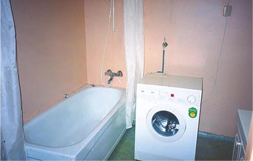 SelvaにあるBeautiful Home In Agdenes With 3 Bedroomsのバスルーム(洗濯機、洗濯機付)