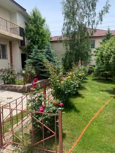 um jardim com rosas no quintal de uma casa em Dastan em Cholpon-Ata