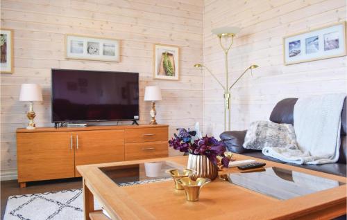a living room with a couch and a tv at Gorgeous Home In Åseda With Wifi in Åseda