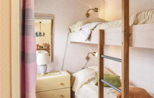 a bedroom with bunk beds with a mirror at Stunning Home In Tranemo With 1 Bedrooms in Tranemo