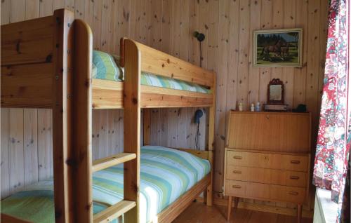 a bedroom with two bunk beds in a cabin at Lovely Home In Fyresdal With House A Mountain View in Veum