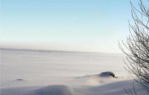 a polar bear laying in the snow at Amazing Home In Vittaryd With Wifi in Kvänarp