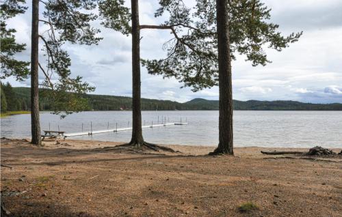 a group of trees on the shore of a lake at 2 Bedroom Beautiful Home In Sunne in Sunne