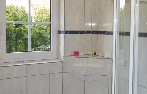 ein Bad mit einer Dusche und einem Fenster in der Unterkunft Ferienhaus Villa Elbstrom in Bleckede