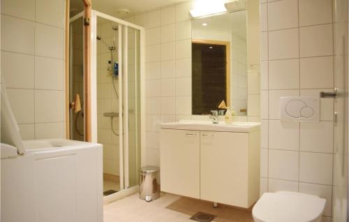 a bathroom with a toilet and a sink and a shower at Gorgeous Apartment In Uvdal With Wifi in Uvdal