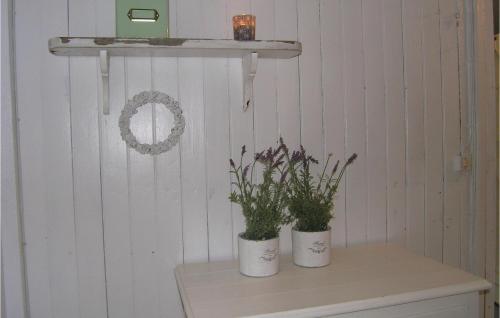 two plants sitting on top of a table at 3 Bedroom Awesome Home In Mårdaklev in Mårdaklev
