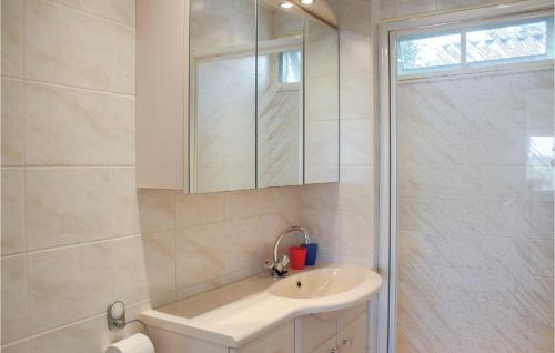 a white bathroom with a sink and a shower at Beautiful Home In Lauwerzijl With Outdoor Swimming Pool in Lauwerzijl