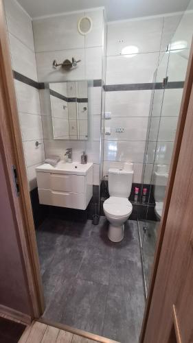La salle de bains est pourvue de toilettes et d'un lavabo. dans l'établissement Apartament Centrum Arma Plac Rodła, à Szczecin