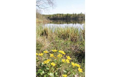 a field of yellow flowers next to a lake at Gorgeous Home In Sävsjö With Wifi in Bodafors