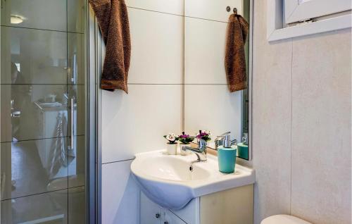 een badkamer met een wastafel en een douche bij Pet Friendly Home In Vorden With Kitchen in Vorden