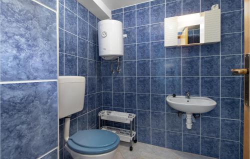 een blauw betegelde badkamer met een toilet en een wastafel bij Pet Friendly Apartment In Jadranovo With Wifi in Jadranovo