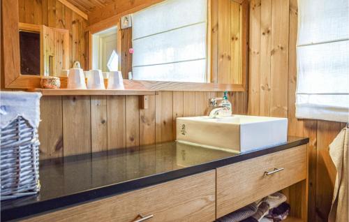 uma casa de banho com um lavatório e um balcão em Cozy Home In Hemsedal With Kitchen em Hemsedal