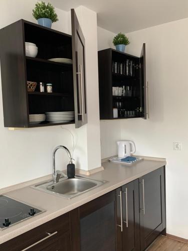 Η κουζίνα ή μικρή κουζίνα στο Apartamenty Żeglarskie w Vęgorii