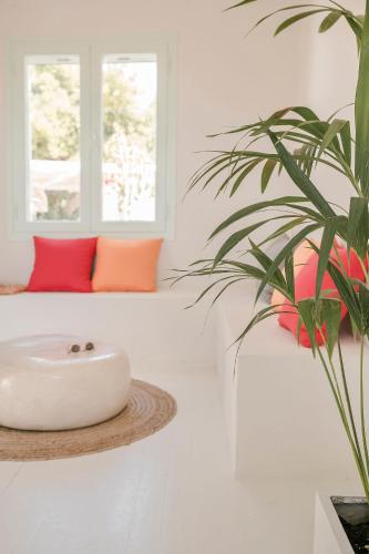 a white room with a plant and a window at Bohemian Nest - Cheerful 2-Bedroom Villa with pool in Dhavgáta