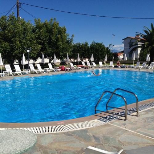a large blue swimming pool with lounge chairs at Tzilios Studios in Acharavi