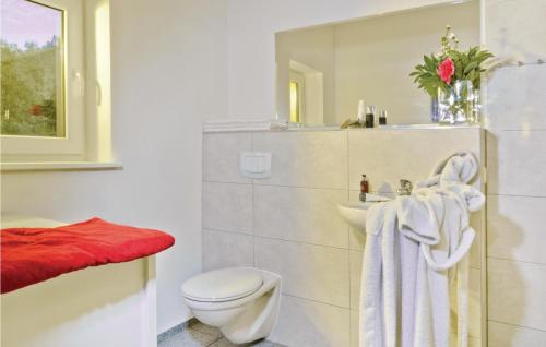 Baño blanco con aseo y lavamanos en Lovely Home In Pinnow With Kitchenette, en Petersberg