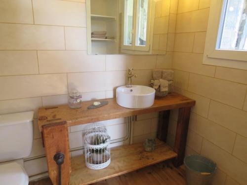 a small bathroom with a sink and a toilet at La Demeure de Cyr in Saint-Chamant