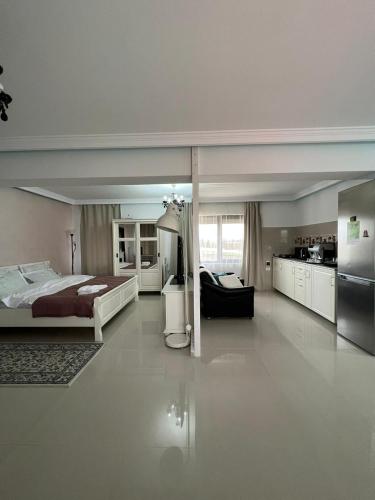 a large bedroom with a bed and a kitchen at Green Oasis in Stolniceni-Prăjescu