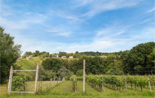 a vineyard on a hill with a fence and trees at Ferienhaus Im Suedburgenland in Glasing