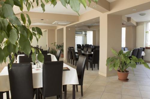 a dining room with tables and chairs and plants at Pensiunea Vidcom in Floreşti