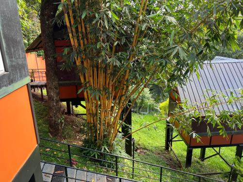 a tree in a yard with a chair next to it at Santhi Hill View Resort in Munnar