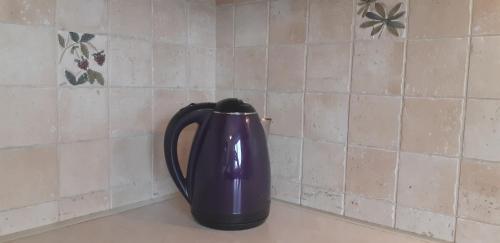 a purple vase sitting on top of a counter at Nature in Kraków