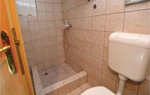 a bathroom with a toilet and a shower at Lovely Home In Gracisce in Gračišče