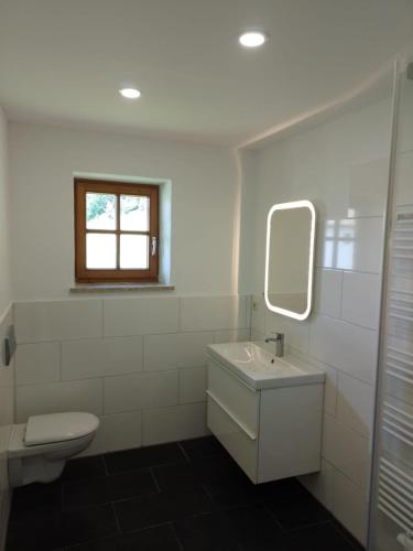 een badkamer met een wastafel, een toilet en een spiegel bij Bio Berghof Langerlehen in Berchtesgaden