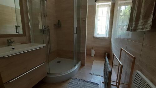 y baño con ducha, aseo y lavamanos. en Dworek POD DĘBEM, en Niwiska