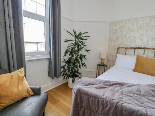 a bedroom with a bed and a plant and a window at 18 Tyn Celyn in Llandudno