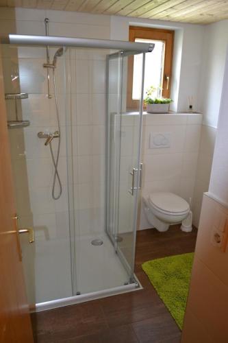 a bathroom with a glass shower with a toilet at Ferienhaus Obersäuling in Stummerberg