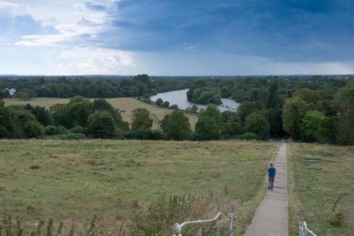 a man walking down a path in a field at Rose of York in Richmond upon Thames
