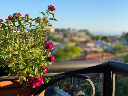 a plant with pink flowers on a balcony at Hotel Orange Kutaisi in Kutaisi