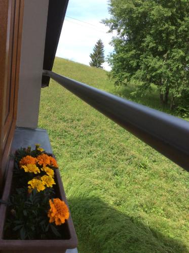alféizar de la ventana con flores en una caja de la ventana en Apartman Odolov Jestřebí hory, en Malé Svatoňovice
