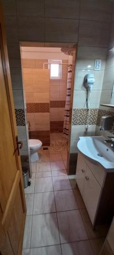 a bathroom with a toilet and a sink at IldiMagdi Apartman in Hajdúszoboszló