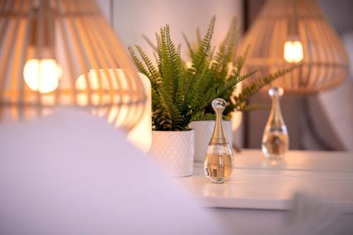 two bottles on a table with plants and lights at NEW! ReLux - ZF Hvar in Hvar