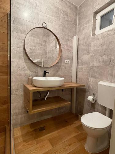 a bathroom with a sink and a mirror at Apartament Central Tipografilor in Sibiu