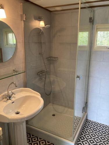 een badkamer met een douche en een wastafel bij Chalet Wild Forest, knus chalet op de Veluwe met gratis parkeren in Putten