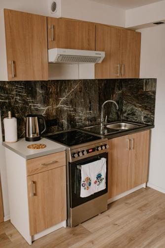 a kitchen with a stove and a sink at Noclegi na Parkowej in Ryczów