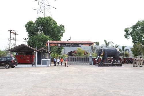 D Star Waterpark & Resort – Photos 5