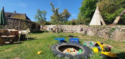 a playgroup of toys in a tire in a yard at Apartment Kliemkiker, Nähe Binz in traumhafter Alleinlage in Zirkow