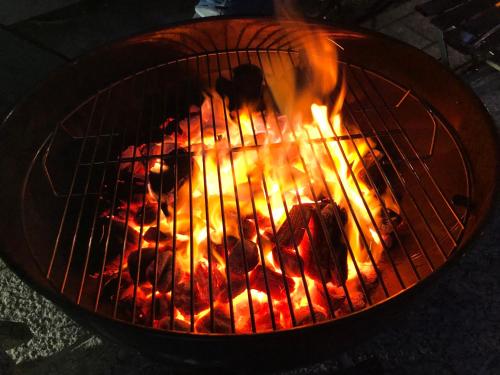 a fire in a grill with meat on it at Tomo's INN - priceless experience - in Obu