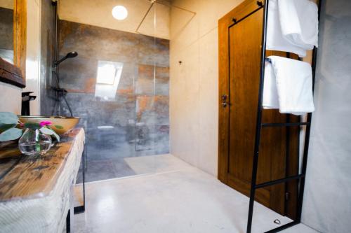 a bathroom with a shower and a wooden door at Blue Bell Penzión in Košice