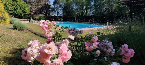 a garden with pink flowers in front of a swimming pool at La Casa sul Colle in Spoleto