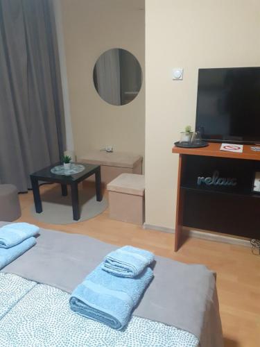 TV a/nebo společenská místnost v ubytování Apartman Ana