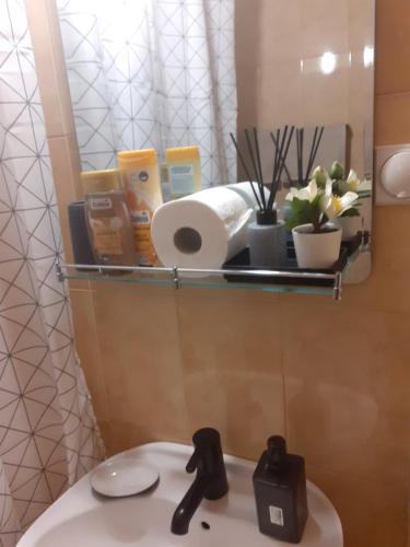 Koupelna v ubytování Apartman Ana