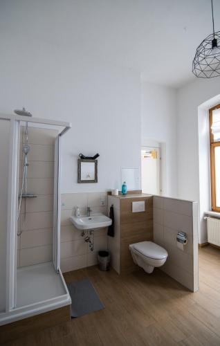 a bathroom with a shower and a toilet and a sink at tRAUMhaus in Erfurt