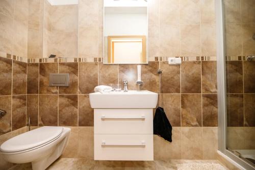 a bathroom with a toilet and a sink and a shower at Penzion Sonáta in Luhačovice